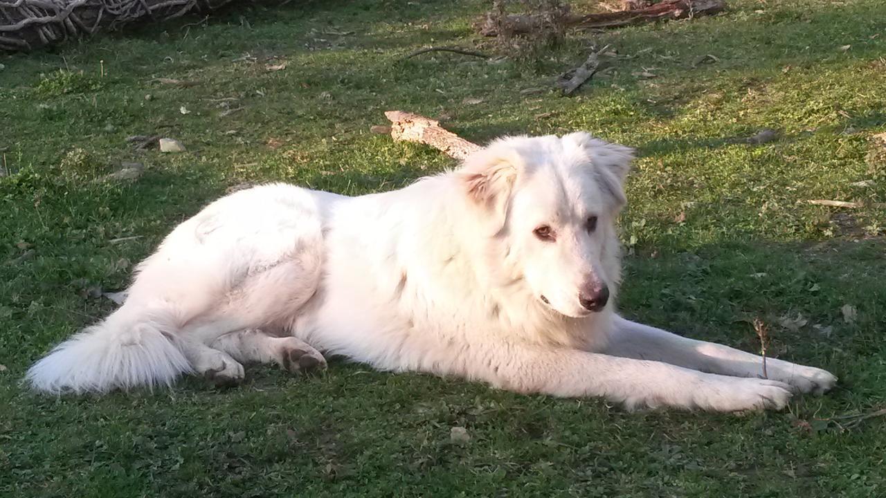 Giunasco Bagnone Kültér fotó